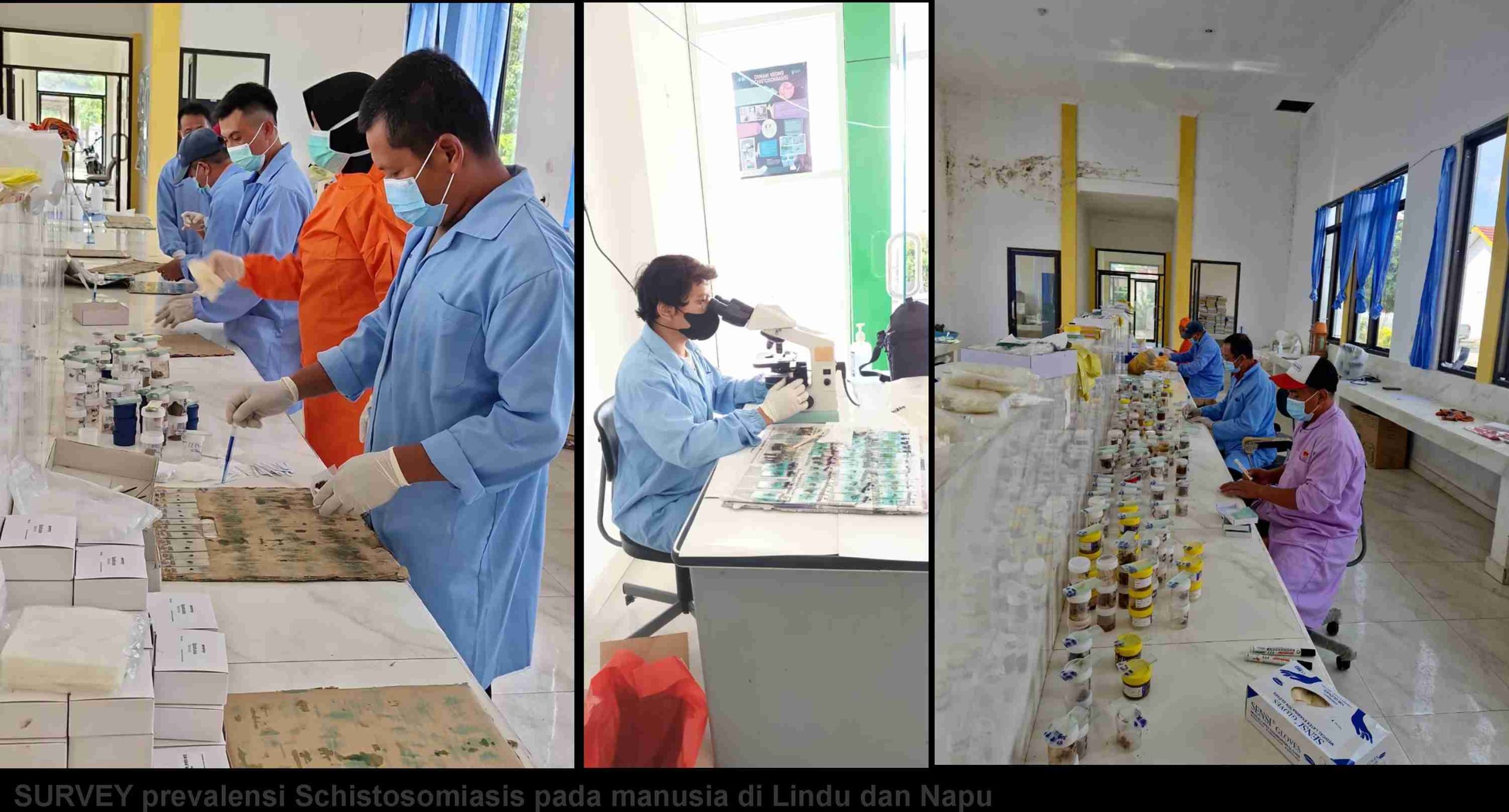 Schistosomiasis di Sulawesi Tengah: Epidemiologi, Penularan, dan Intervensi 2019–2024