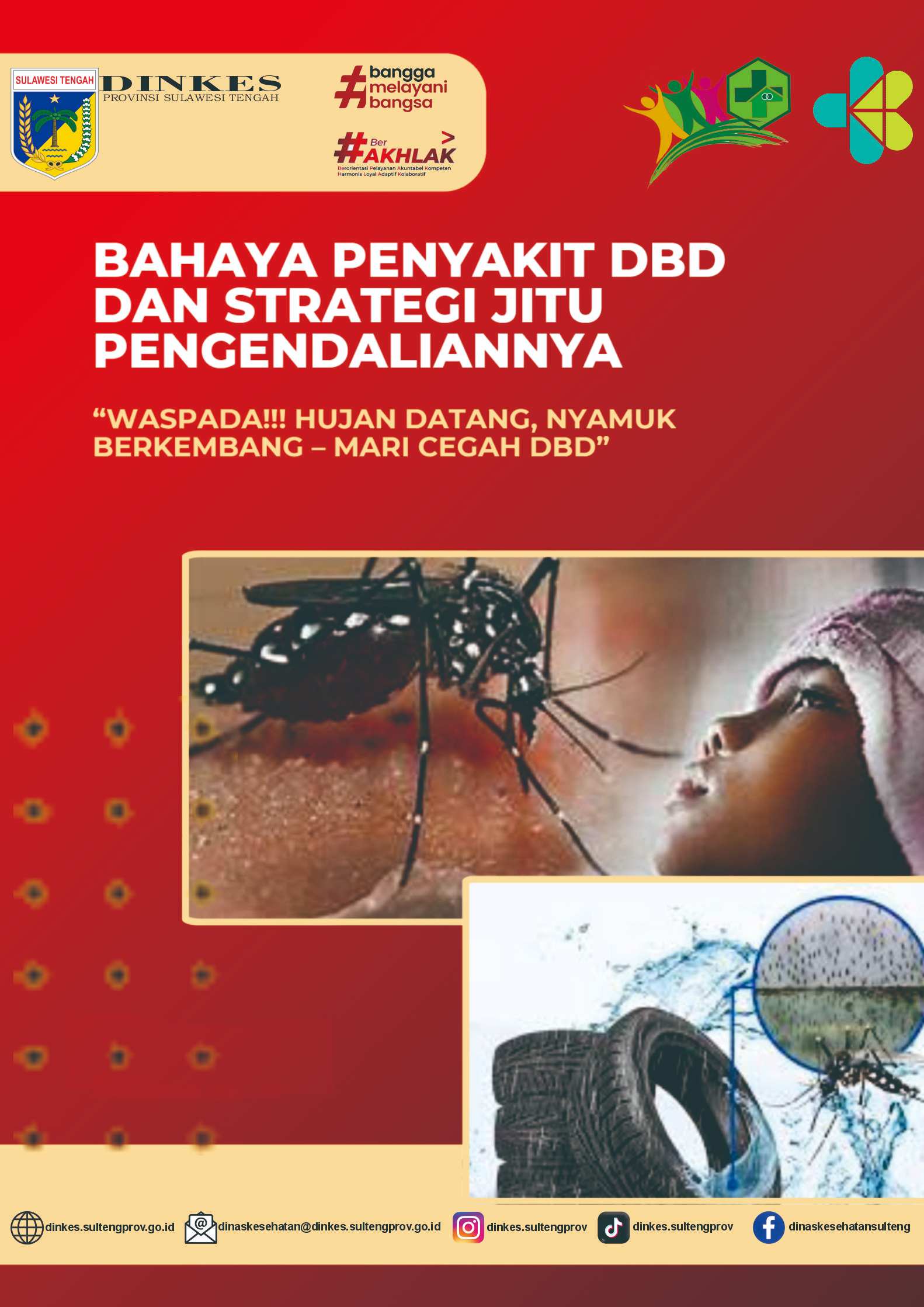 Waspada DBD diMusim Hujan: Data Terkini dan Upaya Pencegahan di Sulawesi Tengah